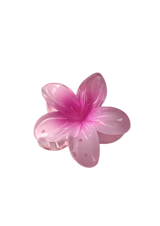 Beachy Plumeria Rubra Floral Hairclip