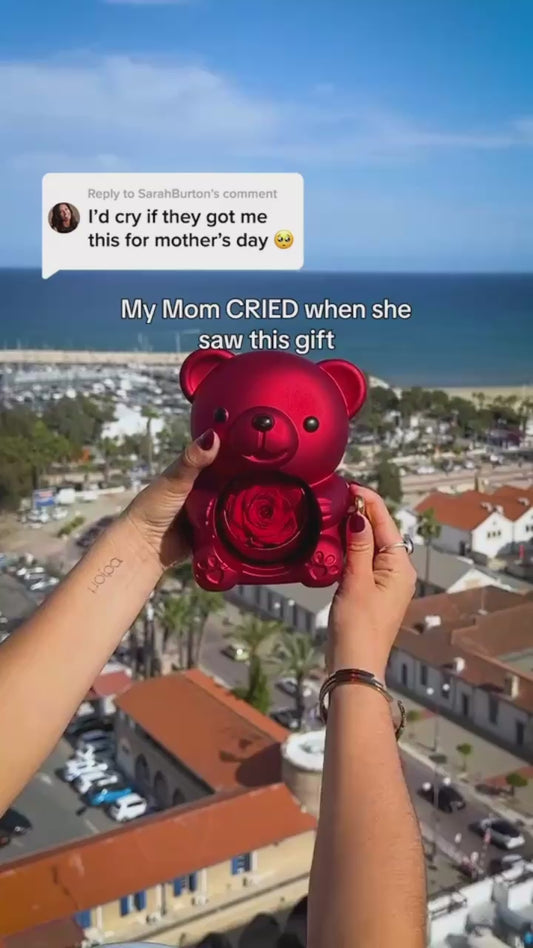 Bear Video